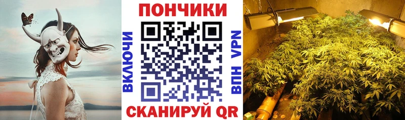 МАРИХУАНА план  даркнет сайт  mega ТОР  Онега 